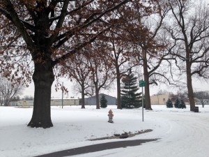 possible proposed location east of the tracks in Iles Park near Oak and 9th Streets